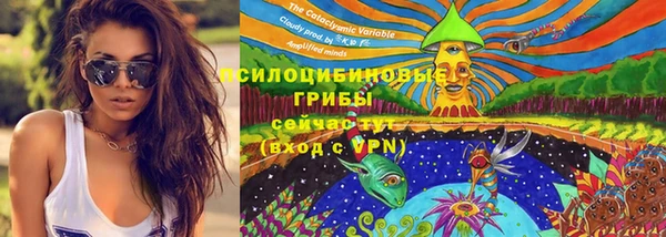 бошки Горняк