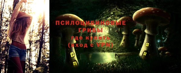 бошки Горняк