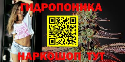 дмт Камышлов