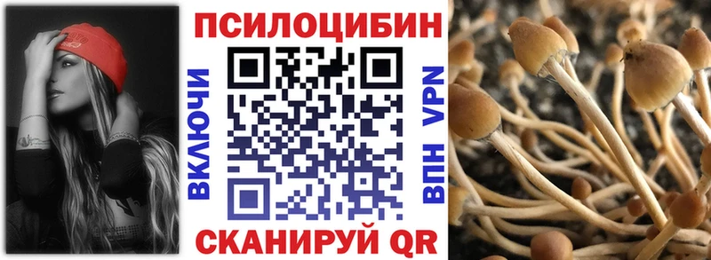 продажа наркотиков  Острогожск  Псилоцибиновые грибы мицелий 