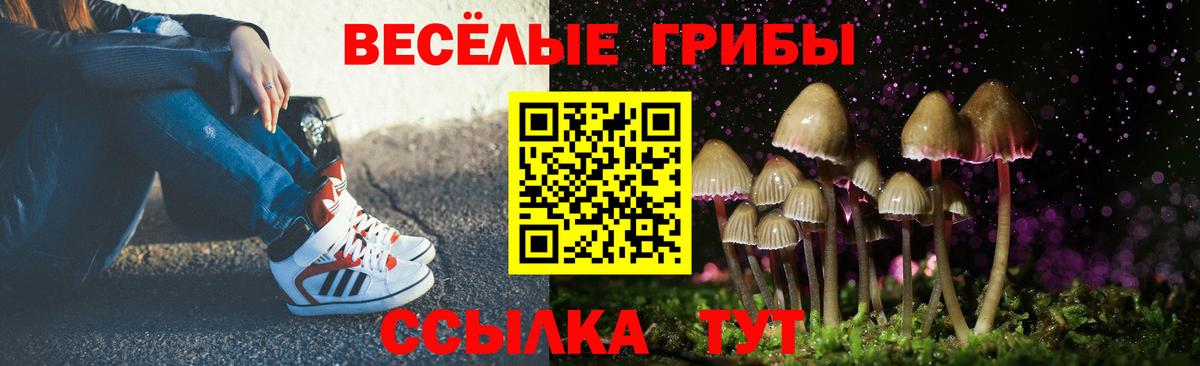 дарнет шоп  Острогожск  Галлюциногенные грибы Psilocybine cubensis 